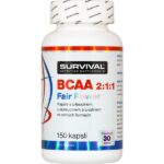 BCAA 2:1:1 Fair Power