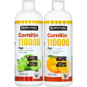 Carnitin 110000 Fair Power - akce 1+1