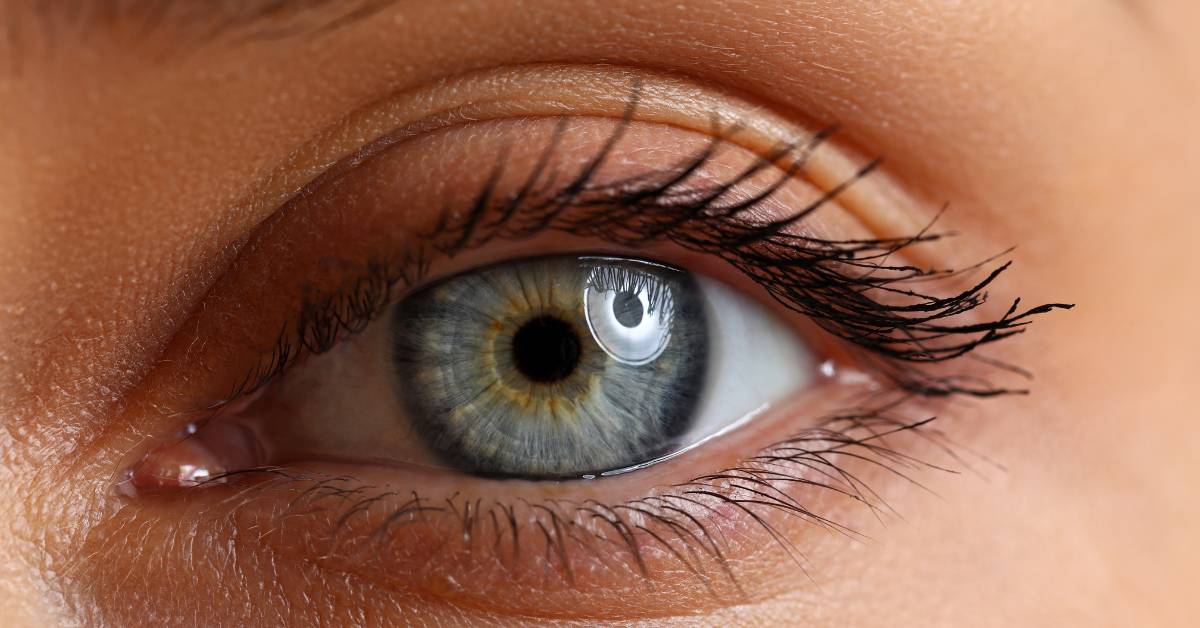 Jak zlepšit zrak na dálku bez operace: 15 Účinných metod a cviků