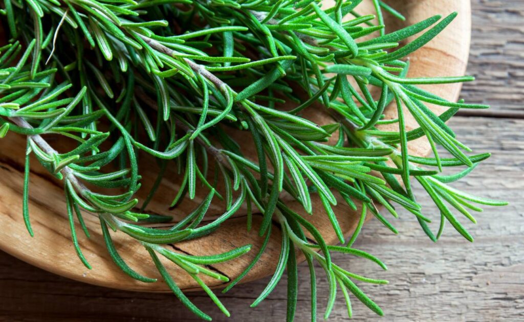 Co proti vypadávání vlasů: 28 Nejlepších Babských rad, které fungují 2 bylinky proti vypadavani vlasu