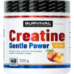 Creatine Monohydrate Gentle Power - 320 g