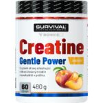 Creatine Monohydrate Gentle Power - 480 g