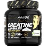 Creatine Creapure Capsules - 300 cps